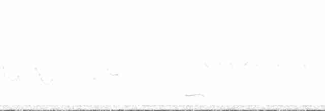 Красногрудый дятел-сокоед - ML181538