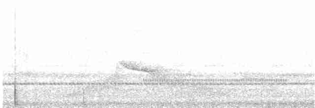 Swallow-tailed Nightjar - ML181554021
