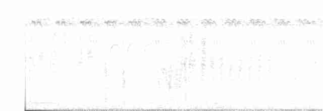 Сорокопуд бірманський - ML181580401