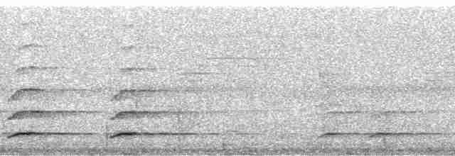 Toucan à bec rouge (cuvieri/inca) - ML18161