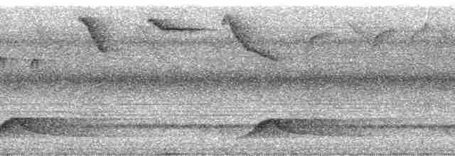 Коричневый колибри-отшельник - ML18162