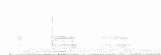 Желтохвостый траурный какаду - ML181626441