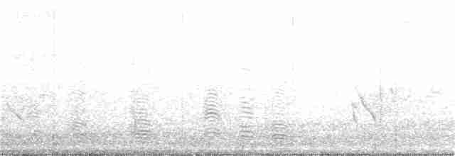 husovec strakatý - ML181641901
