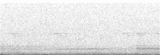 Koklass Pheasant - ML181665241
