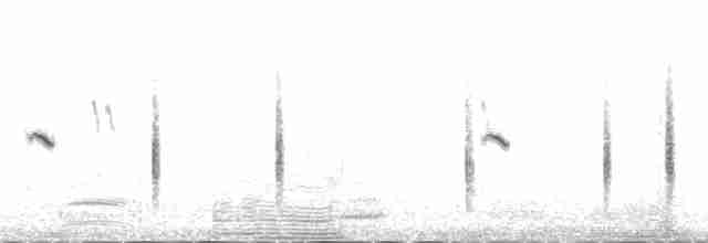 穗䳭(oenanthe/libanotica) - ML181666