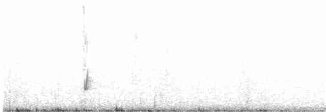 White-tailed Shrike-Tyrant - ML181675761
