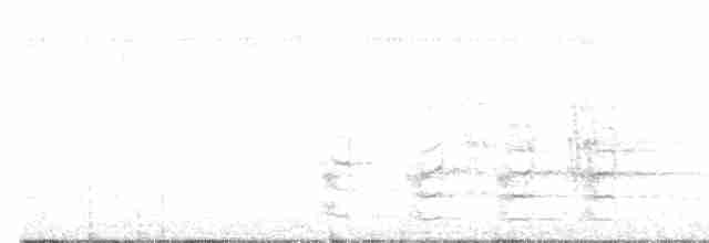 Saltarín Ventrisulfúreo - ML181682601