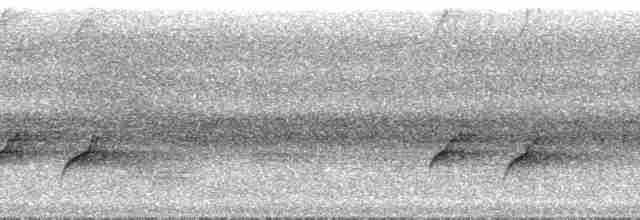 Зозуля ширококрила - ML181702