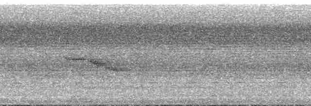Strichelbrustbülbül - ML181715