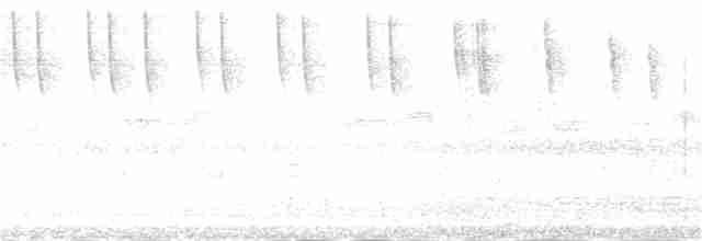 kalypta jemná - ML181741131