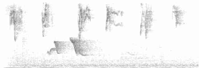 kalypta jemná - ML181746001