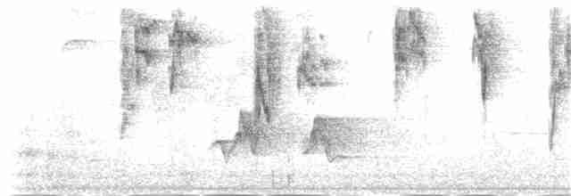 kalypta jemná - ML181748421