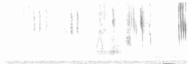kalypta jemná - ML181749501
