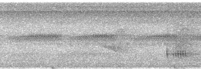 Дрізд-короткодзьоб Cвенсона - ML18179