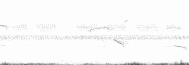 Cucal Cejiblanco (burchellii/fasciipygialis) - ML181797981