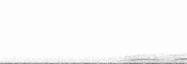 White-throated Nightjar - ML181800291