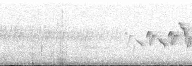 Nashville Warbler (ruficapilla) - ML181801