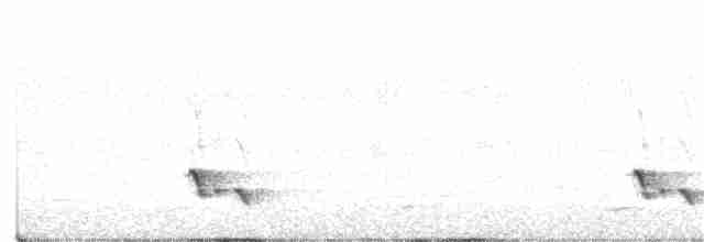 Streifenpanthervogel - ML181832641
