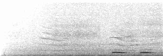 Сова-голконіг австралійська - ML181837581