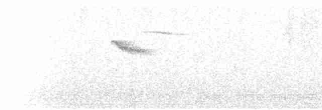 Common Kingfisher - ML181866001