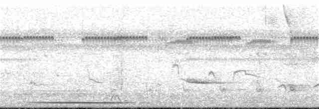 Cinereous Tinamou - ML181918701