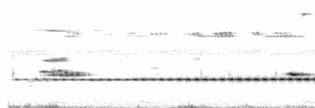 Benekli Notura Tinamusu - ML181931621
