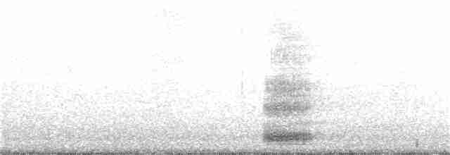 Ібіс молуцький - ML182013581