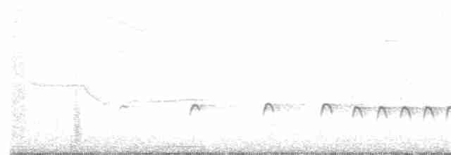 Chaparralgrasmücke - ML182035371