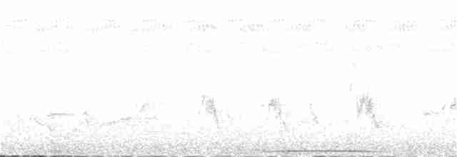 白喉林鴿 - ML182053291
