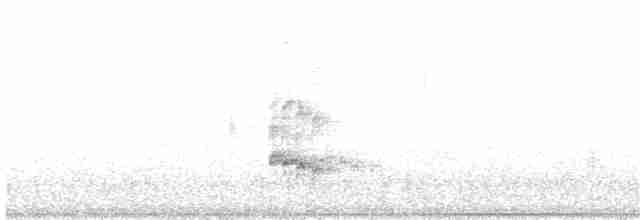 Tarçın Göğüslü Todi Tiranı - ML182072131
