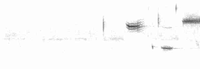 Желтобровая овсянка-барсучок - ML182138351