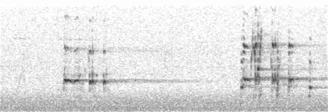 orel bělohlavý - ML182154181