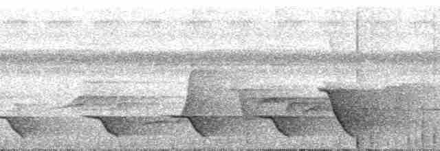 Black-chinned Whistler - ML182229