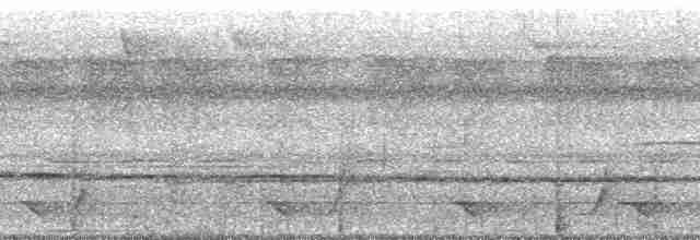 Black-chinned Whistler - ML182337