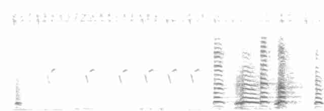 Cisne Trompetero - ML182344611