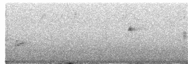 Пронурок сірий - ML182390541