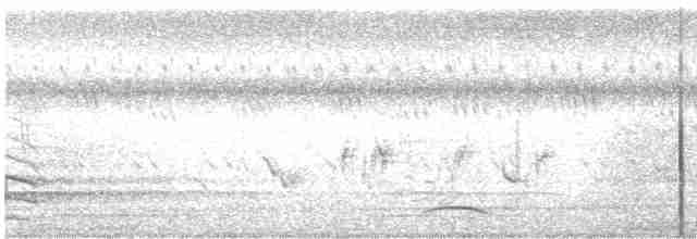 Indian Peafowl - ML182410411
