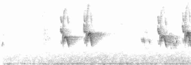 Kahverengi Gerdanlı Nektarkuşu - ML182414441
