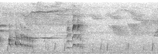 Todirostre roussâtre - ML182437
