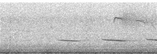 Brushland Tinamou - ML182450621