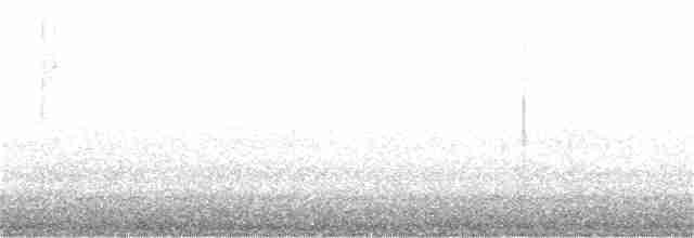 Сероголовая щетинкоклювка - ML182462941