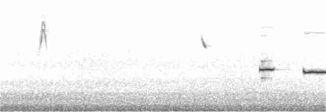 vestbørstefugl - ML182462971