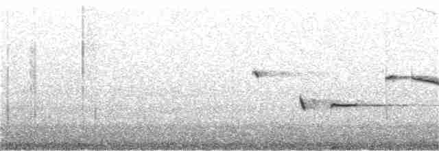 Tüpfelborstenvogel - ML182463011