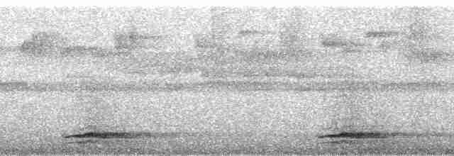 Highland Tinamou (South American) - ML182473