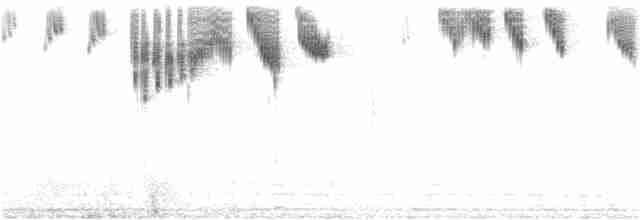 Queue-de-gaze du Sud - ML182473501