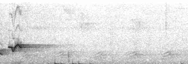 Тріщук сіроволий (підвид venezuelensis) - ML182479