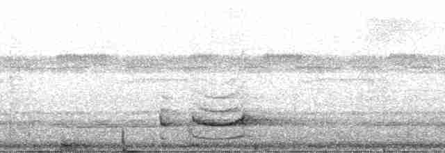 Zimtkehl-Baumspäher [obscurus-Gruppe] - ML182516