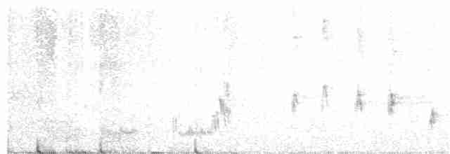 Пронурок сірий - ML182529611