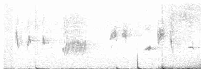 Mirlo Acuático Norteamericano - ML182529621