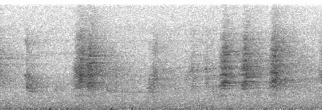 Boz Kanatlı Borazankuşu (crepitans) - ML182534